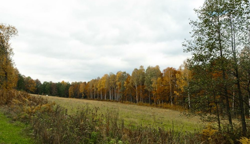 Penzion U Bořka Bělá pod Pradědem